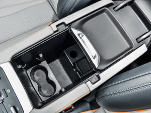 2021DM-i 110KM ŞPLUS g