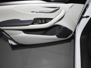 2021DM-i 51KM s ǰTg