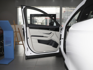 2021DM-i 51KM s {λ܇T