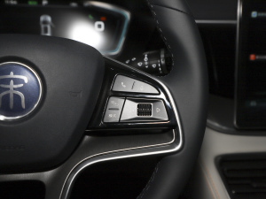 2021DM-i 51KM s п؅^(q)