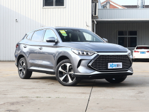 2021DM-i 110KM 콢 ǰ45