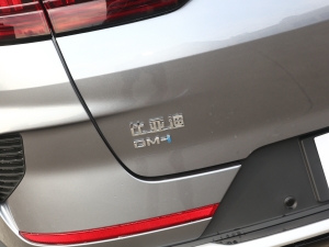 2021DM-i 110KM 콢 ϸ