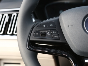 2021DM-i 110KM Ş п؅^