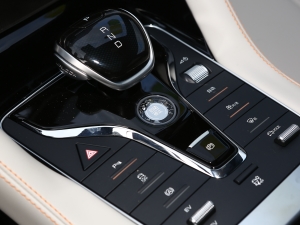 2021DM-i 110KM Ş п؅^