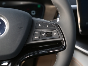 2021DM-i 110KM Ş п؅^