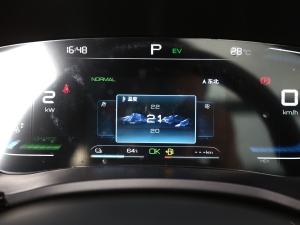 2021DM-i 110KM Ş п؅^