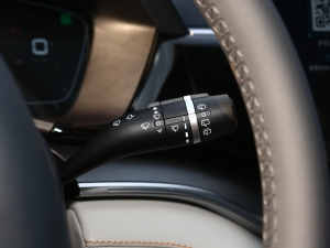 2021DM-i 110KM Ş п؅^