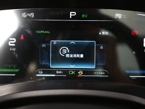 2021DM-i 110KM Ş п؅^