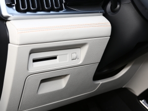 2021DM-i 110KM Ş п؅^