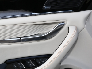 2021DM-i 110KM Ş п؅^