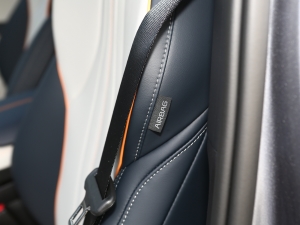 2021DM-i 110KM Ş п؅^