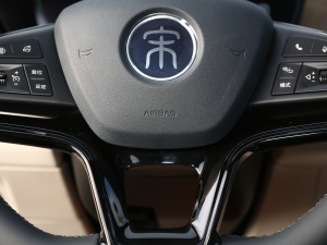 2021DM-i 110KM Ş п؅^