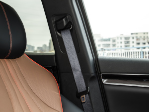 2021DM-i 100KM ŞPLUS g