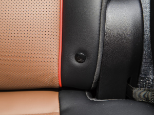 2021DM-i 100KM ŞPLUS g