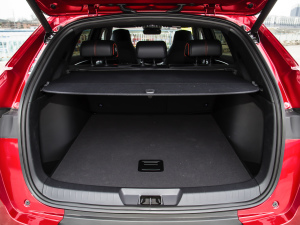 2021DM-i 100KM ŞPLUS g