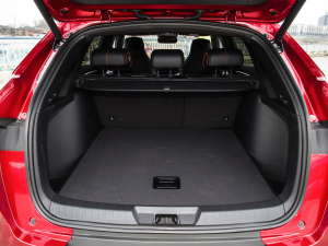 2021DM-i 100KM (q)ŞPLUS g