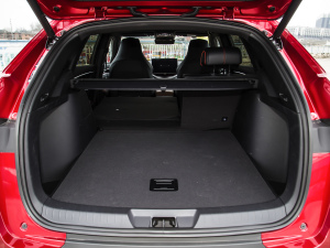 2021DM-i 100KM (q)ŞPLUS g