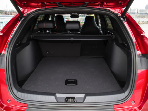 2021DM-i 100KM (q)ŞPLUS g