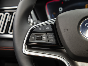 2021DM-i 100KM ŞPLUS п؅^