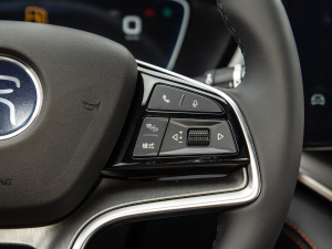 2021DM-i 100KM ŞPLUS п؅^