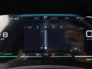 2021DM-i 100KM ŞPLUS п؅^