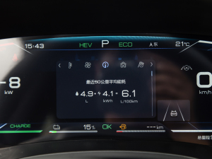 2021DM-i 100KM ŞPLUS п؅^