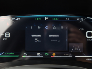 2021DM-i 100KM ŞPLUS п؅^