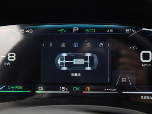 2021DM-i 100KM ŞPLUS п؅^