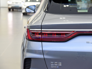 2021DM-i 110KM ŞPLUS 5G (x)(ji)^