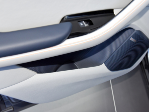 2021DM-i 110KM ŞPLUS 5G Tg