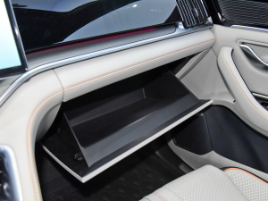 2021DM-i 110KM ŞPLUS 5G 