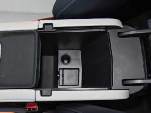 2021DM-i 110KM ŞPLUS 5G g