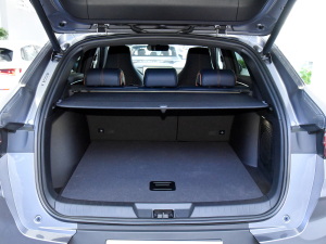 2021DM-i 110KM ŞPLUS 5G g