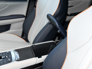 2021DM-i 110KM ŞPLUS 5G g