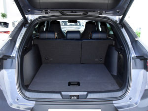 2021DM-i 110KM ŞPLUS 5G g