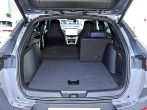 2021DM-i 110KM ŞPLUS 5G g