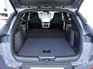 2021DM-i 110KM ŞPLUS 5G g