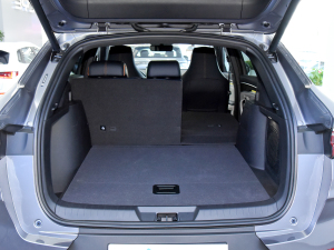 2021DM-i 110KM ŞPLUS 5G g