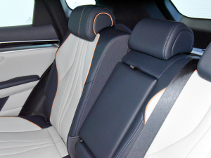 2021DM-i 110KM ŞPLUS 5G g