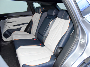 2021DM-i 110KM ŞPLUS 5G g