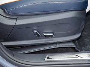 2021DM-i 110KM ŞPLUS 5G g