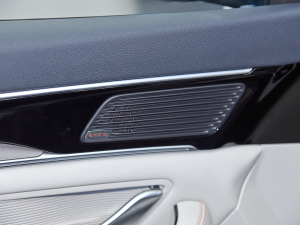 2021DM-i 110KM ŞPLUS 5G п؅^