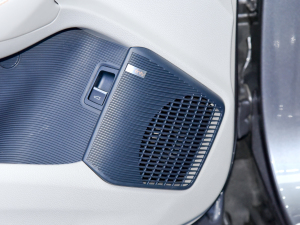 2021DM-i 110KM ŞPLUS 5G п؅^