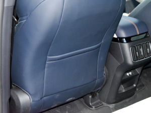 2021DM-i 110KM ŞPLUS 5G п؅^(q)