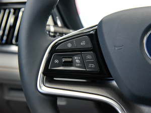 2021DM-i 110KM ŞPLUS 5G п؅^(q)