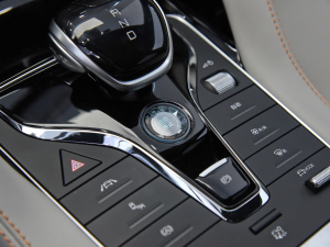 2021DM-i 110KM ŞPLUS 5G п؅^