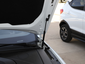 2021款600KM 旗舰型 其它