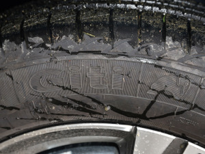 20211.5T ԄưA ݆̥Ʒ