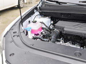 2021款1.5T 自动骁云版豪华型 其它