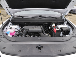 2021款1.5T 自动骁云版豪华型 发动机